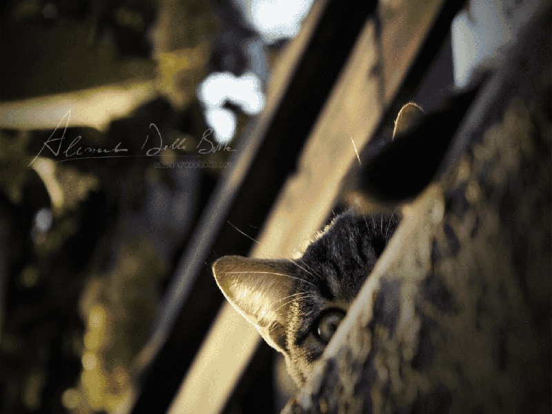 兰州不孕媳妇做试管（强地松 试管）